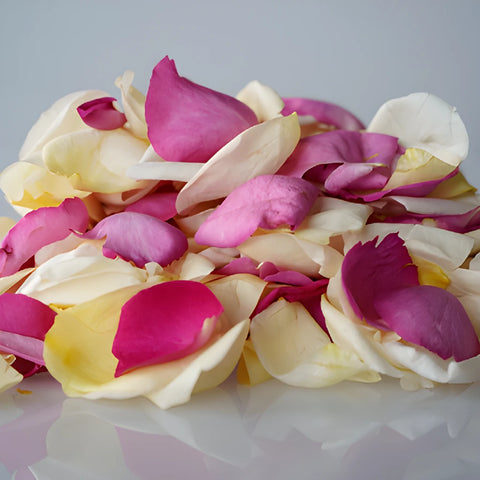 Grey Knights Dry Rose Petals