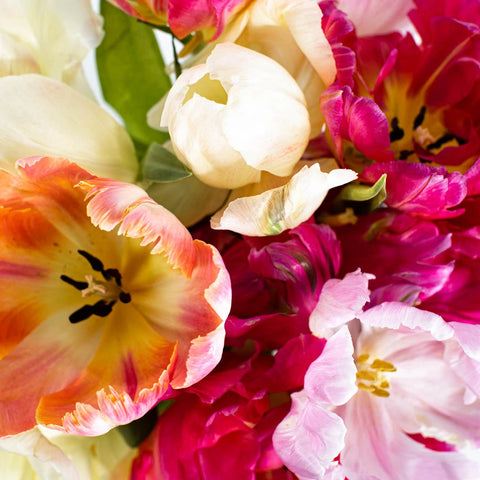 Assorted Parrot Tulip Flower Bouquet Up Close