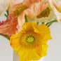 Assorted Poppy Pack Close Up - Image