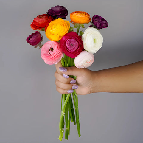 Save The Ranunculus Growers DIY Flower Kit