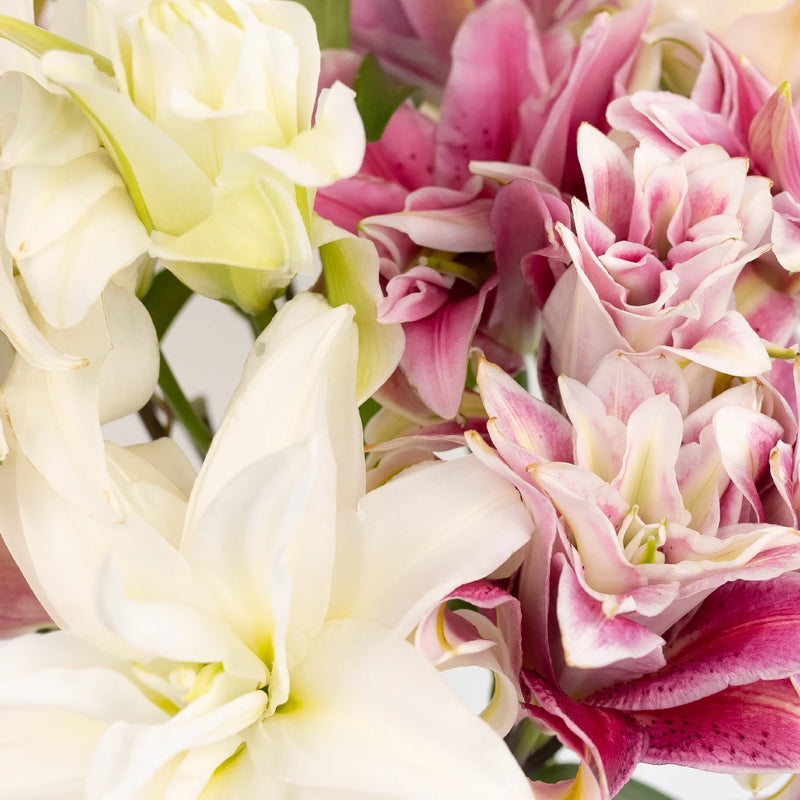 Assorted Rose Lily Close Up - Image