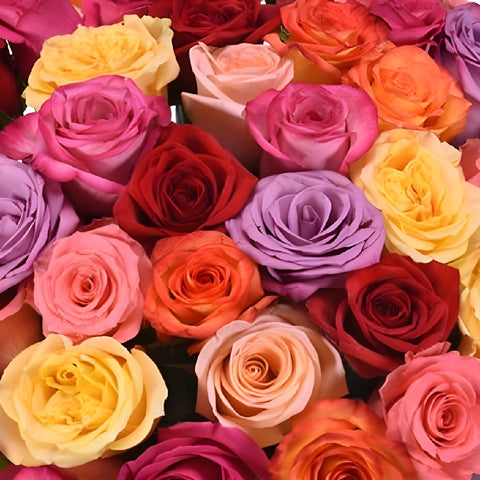 Assorted Roses Gift Bouquet Close up - Image
