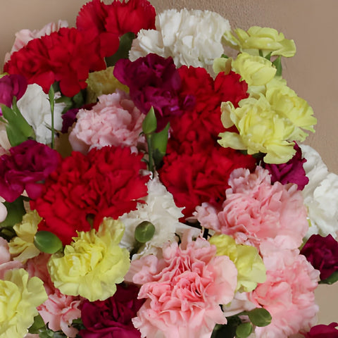 Save The Carnation Growers DIY Flower Kit