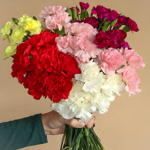 Save The Carnation Growers DIY Flower Kit
