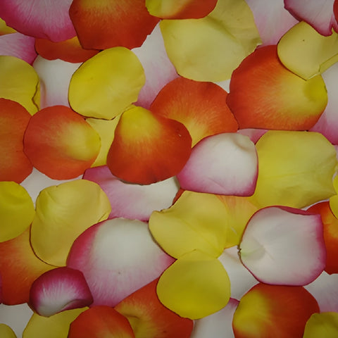 Fresh Roses Petals online