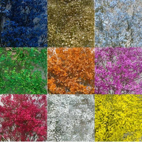 Mixed Color Airbrushed Baby's Breath Flower