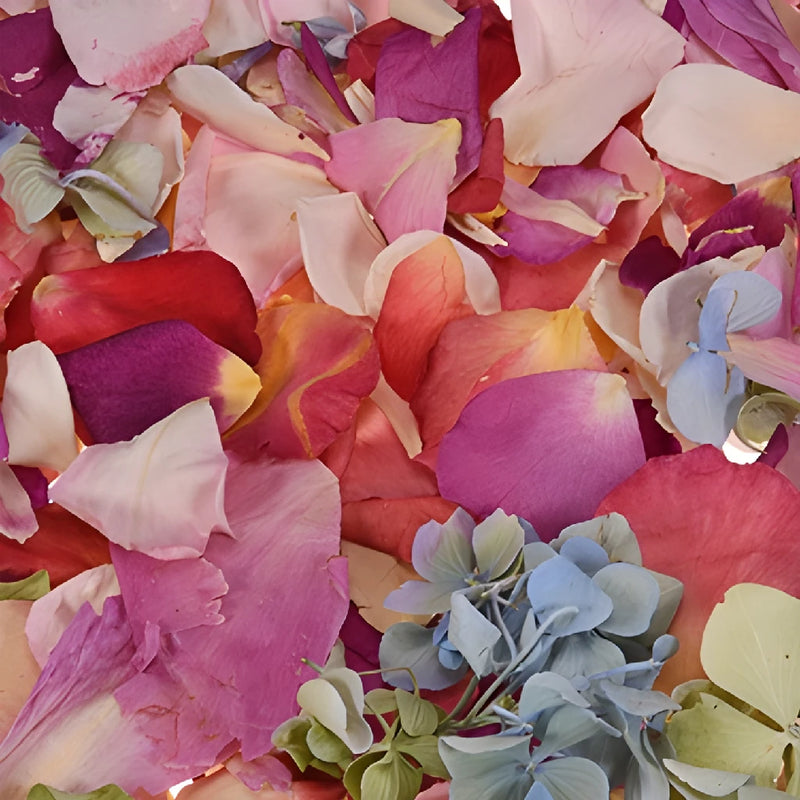 Whimisical Wedding Dried Flower Petals