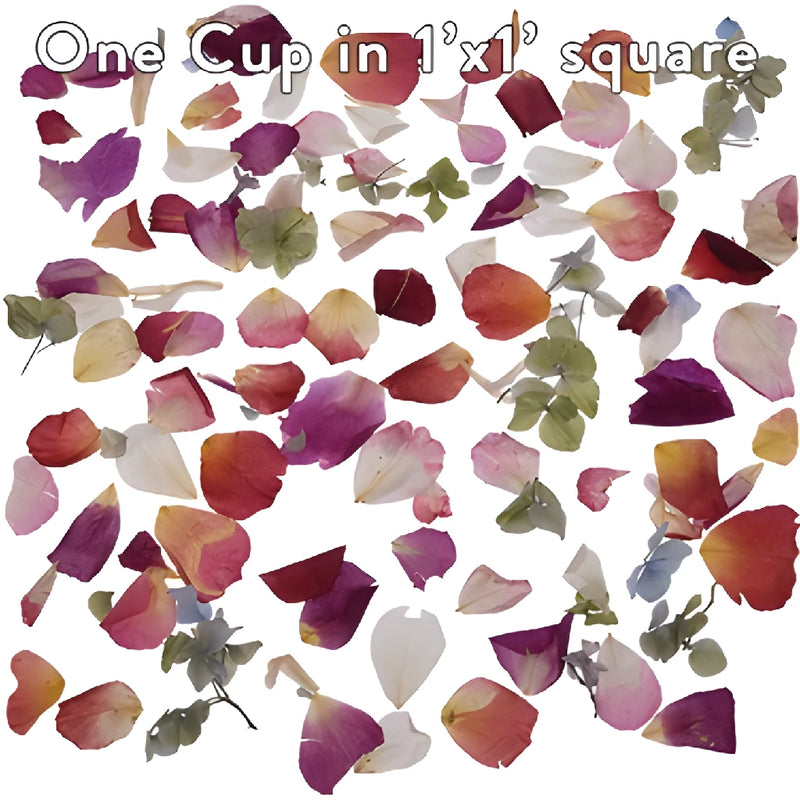 Whimisical Wedding Dried Flower Petal