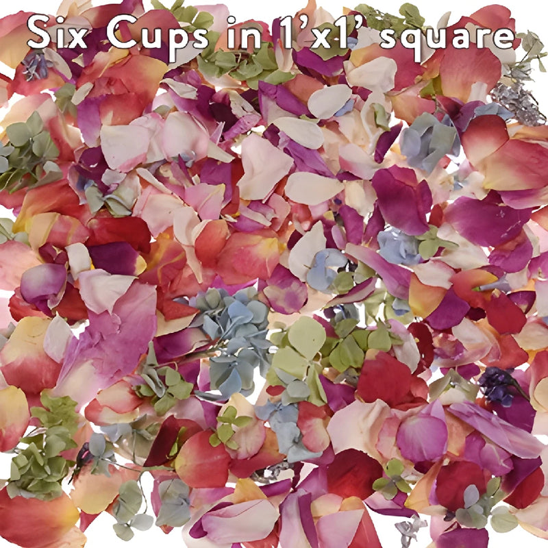 Whimisical Wedding Dried Flowers Petals