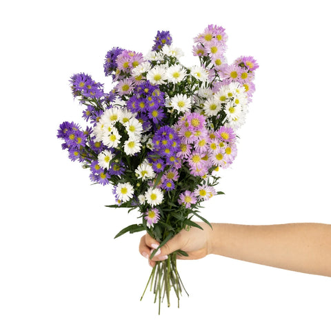 Aster Flowers Farm Mix Vase - Image