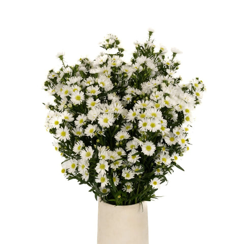 Aster Flowers White Vase - Image