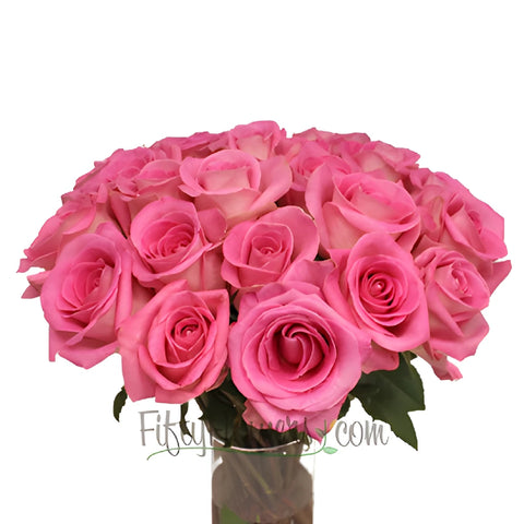 Attache Hot Pink Rose