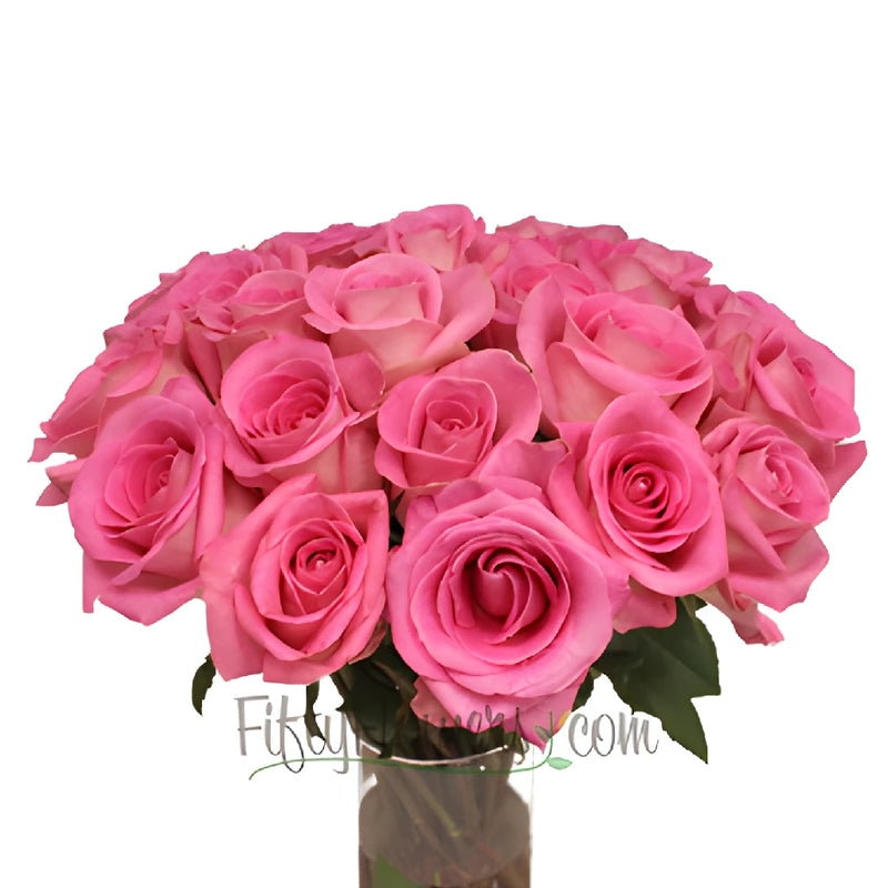 rose pinkページ♡ Buy Wholesale Attache Hot Pink Rose in Bulk - FiftyFlowers