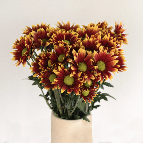 Autumn Daisy Flower Vase - Image