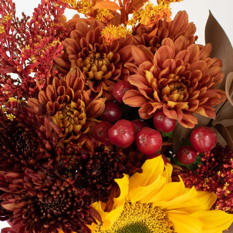 Autumn Hayride Bronzed Orange Flower Up Close