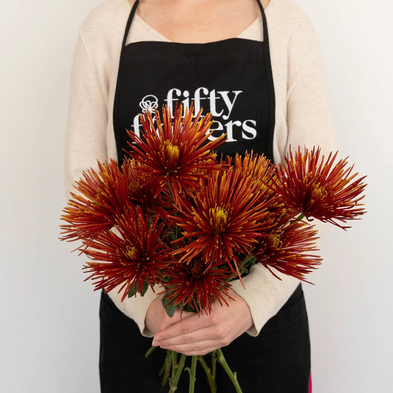 Autumn Rust Spider Mum Flowers Apron - Image