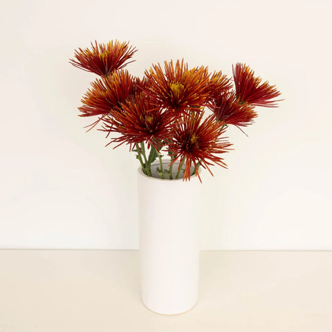 Autumn Rust Spider Mum Flowers Vase - Image