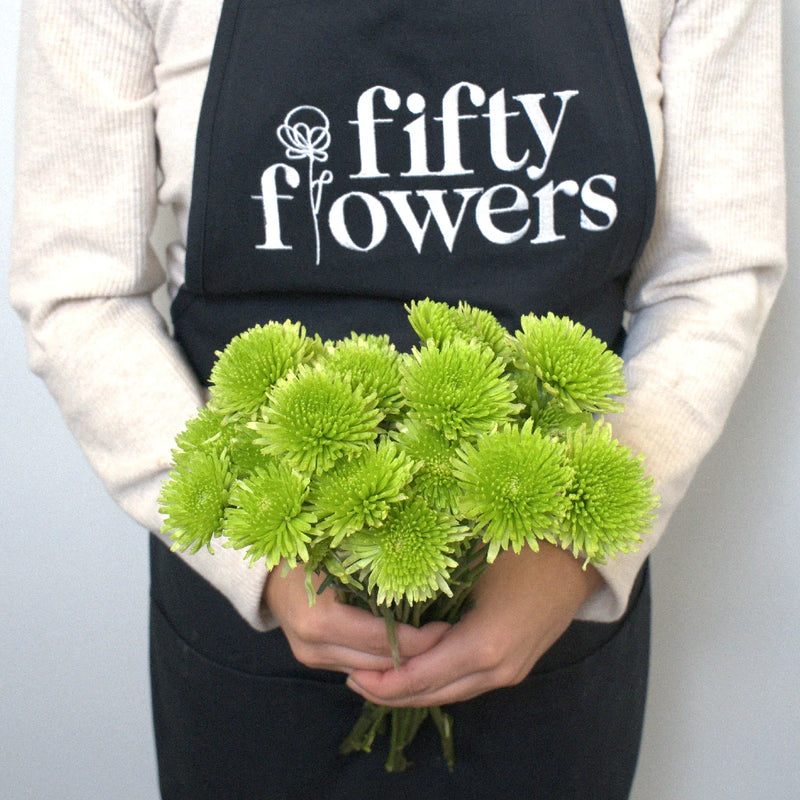Avocado Green Novelty Chrysanthemum Apron - Image