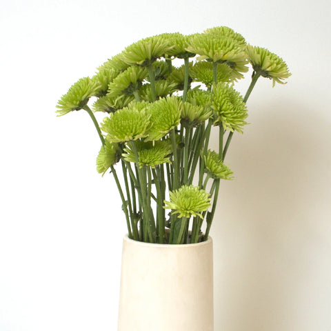 Avocado Green Novelty Chrysanthemum Vase - Image