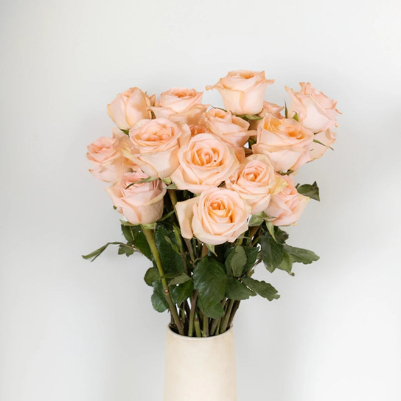 Azafran Orange Rose Vase - Image