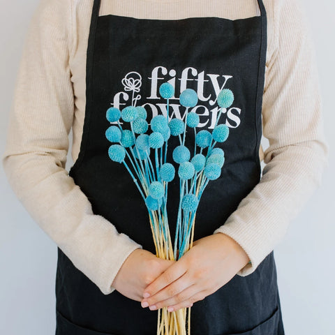 Baby Blue Dried Craspedia Billy Ball Apron - Image