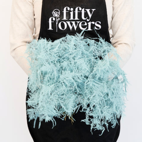 Baby Blue Enhanced Plumosa Fern Greenery Apron - Image