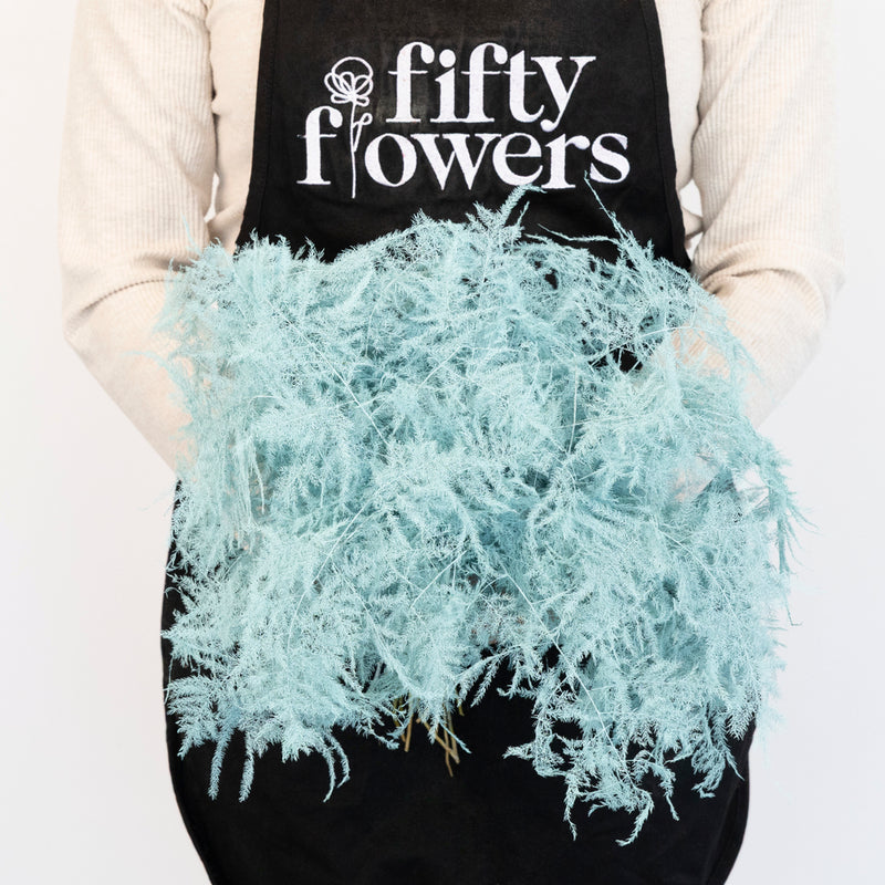 Baby Blue Enhanced Plumosa Fern Greenery Apron - Image
