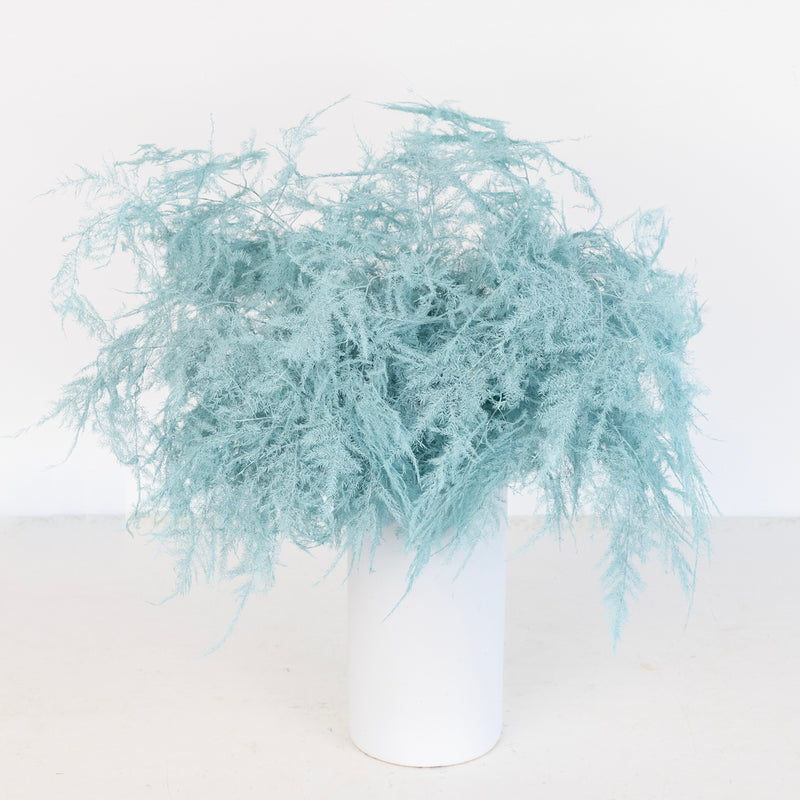Baby Blue Enhanced Plumosa Fern Greenery Vase - Image