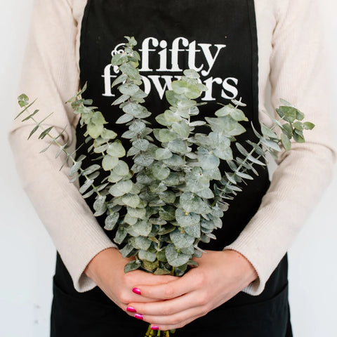 Baby Eucalyptus Greenery Close Up - Image