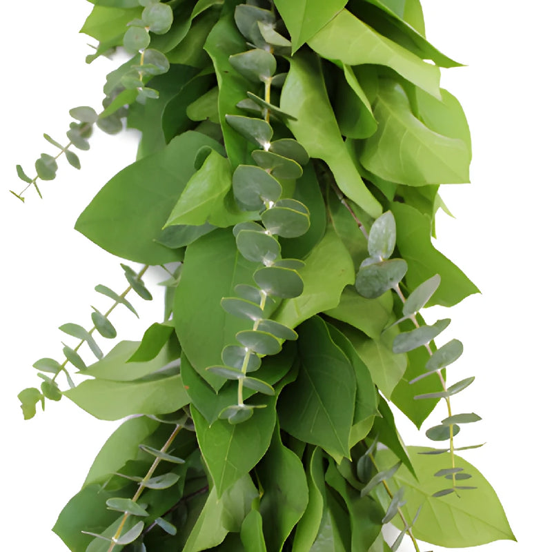 Baby Eucalyptus and Salal Garland Wholesale Up Close