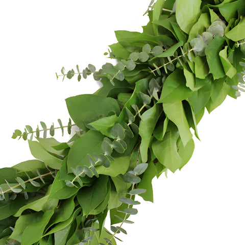 Baby Eucalyptus and Salal Garland Wholesale Up Close