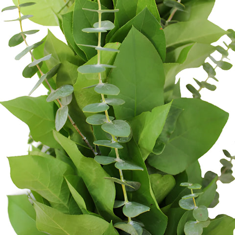 Baby Eucalyptus and Salal Greens Garland Wholesale Up Close