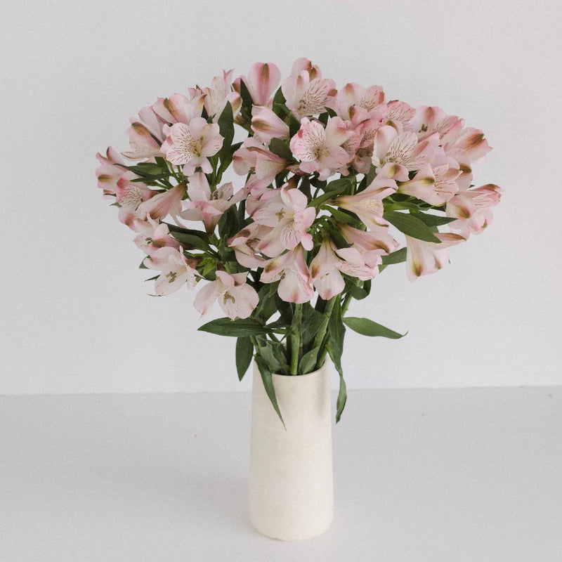 Baby Pink Peruvian Lilies Vase - Image