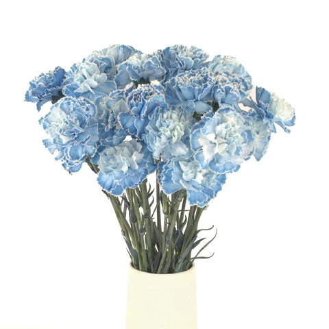 Baby Shower Blue Flower Carnation Vase - Image