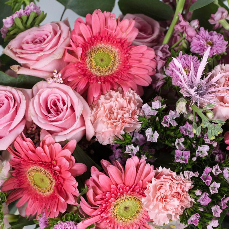 Baby Shower Pink Close Up - Image