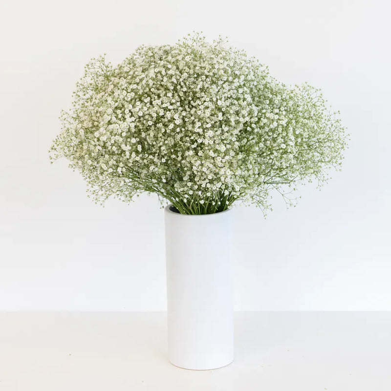 Babys Breath Flower New Love Vase - Image