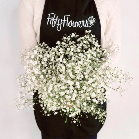 Buy Wholesale Baby's Breath Flower Combo Pack in Bulk - FiftyFlowers