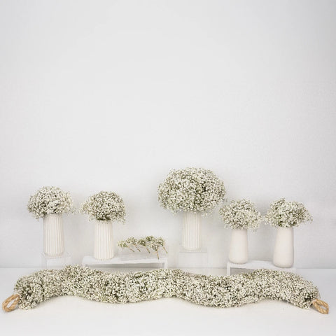 Baby's Breath Wedding Collection Close Up - Image