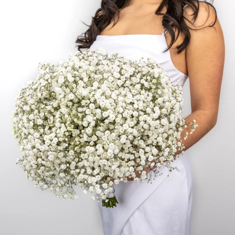 Baby's Breath Wedding Collection Hand - Image