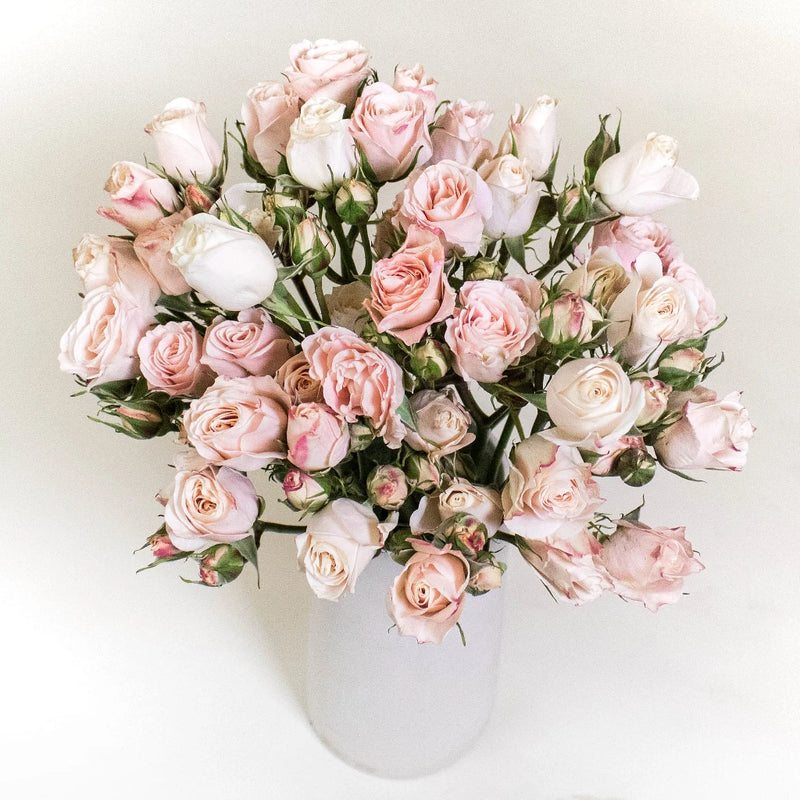 Bali Peach Wholesale Spray Rose In a Vase
