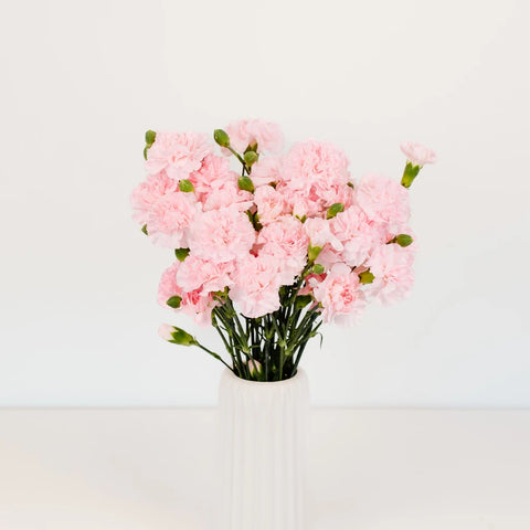 Ballet Pink Mini Carnation Flower Vase - Image