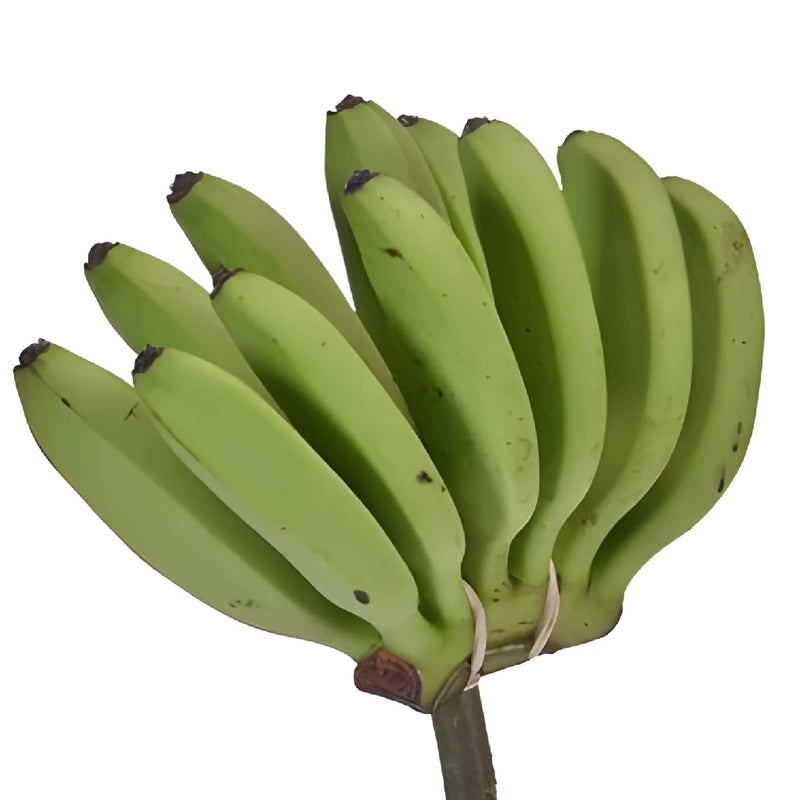 Mini Green Decorative Bananas