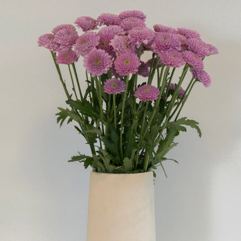 Bashful Becky Button Flower Vase - Image