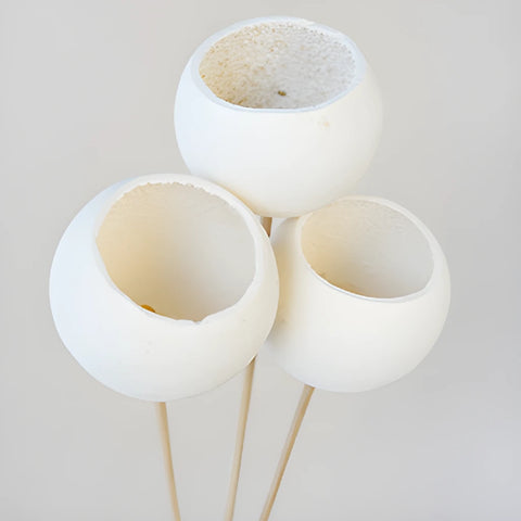 Natural Dried Bell Cup Pods