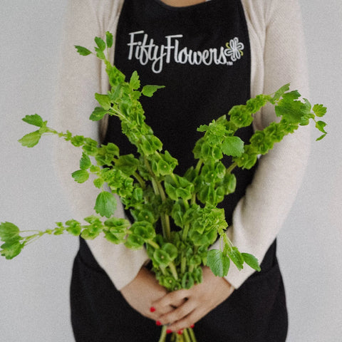 Bells Of Ireland Molucella Greenery Apron - Image