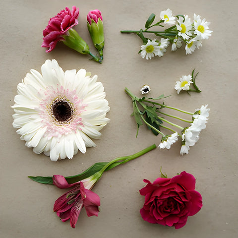 Berries and Cream DIY Flower Kit Flatlay
