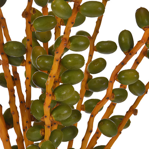 Wedding greenery green date bulk berries filler flowers sold near me