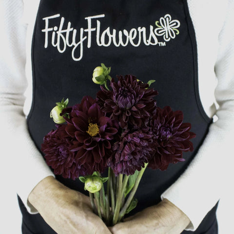 Berry Dahlia Burgundy Flower Bunch in Hand