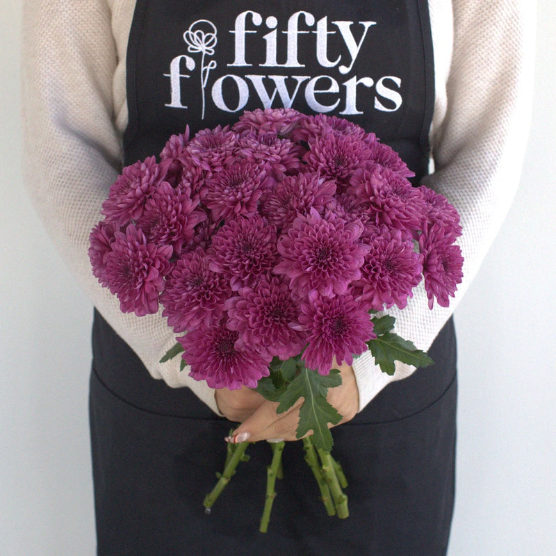 Berry Perfection Cushion Flower Apron - Image
