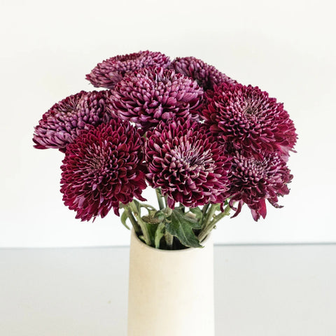 Berry Twist Bahlia Flower Vase - Image